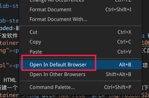 code-open-in-browser